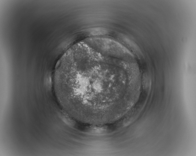 X0000113910405200910221337