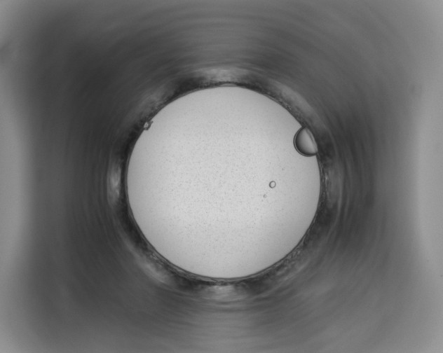 X0000113910406200910221337
