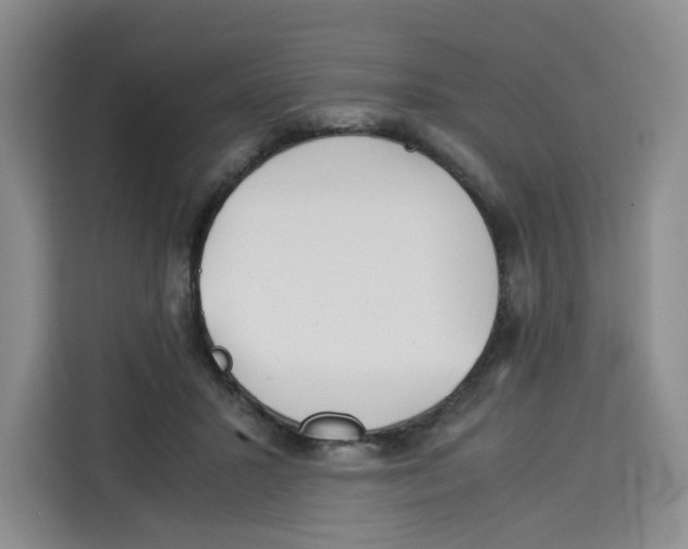 X0000113910407200910221337