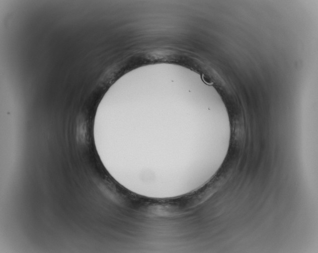 X0000113910408200910221337