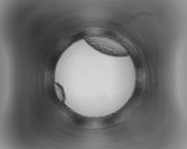 X0000113910409200910221337