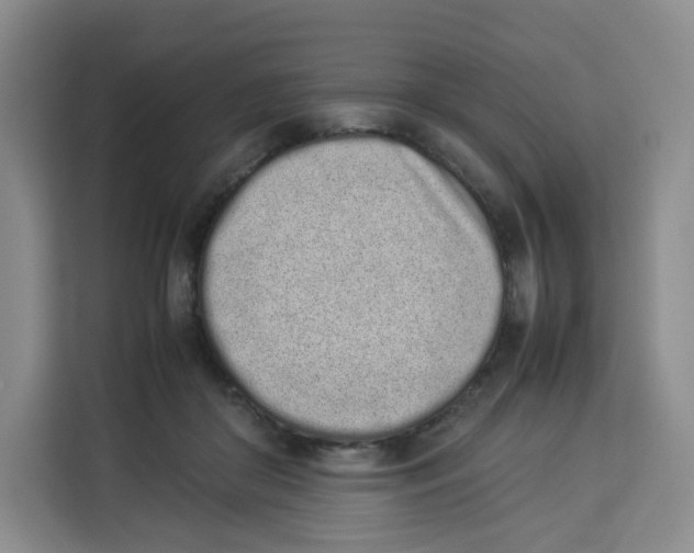 X0000113910410200910221337