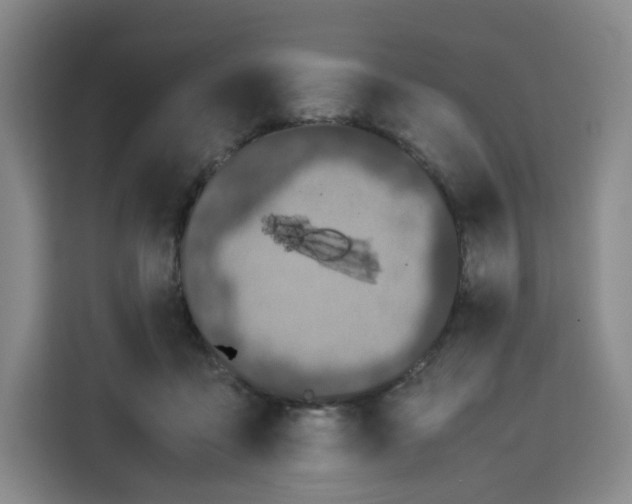 X0000113910411200910221337