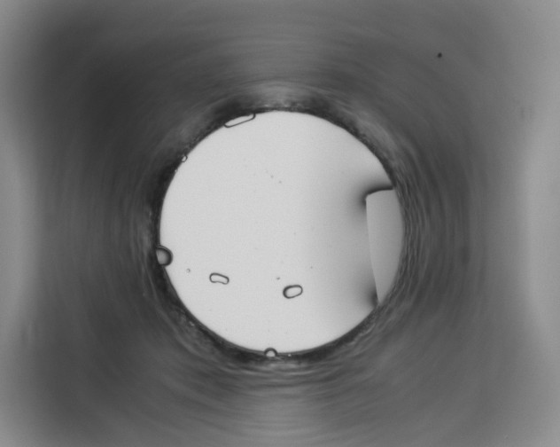 X0000113910413200910221337