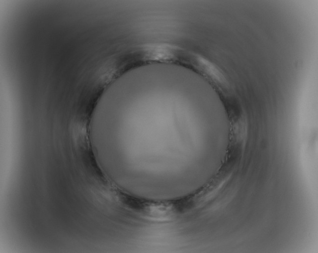 X0000113910415200910221337