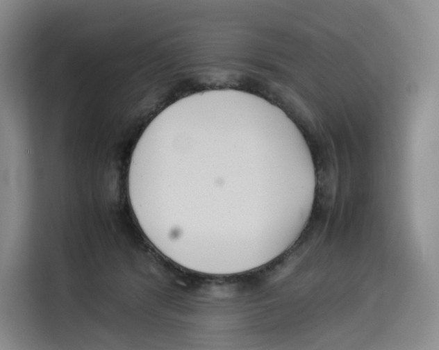 X0000113910416200910221337