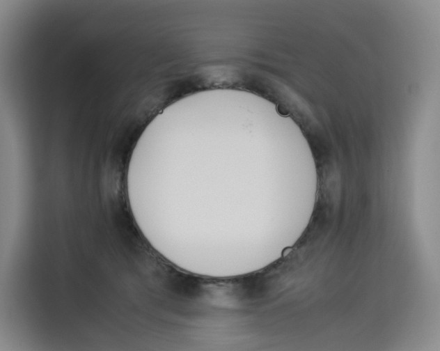 X0000113910417200910221337