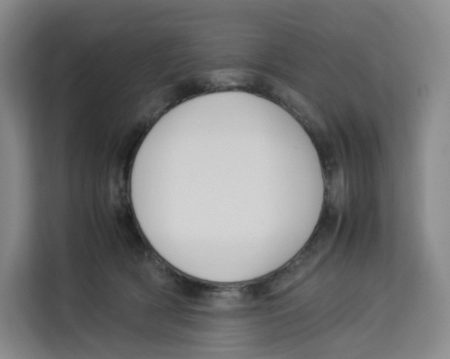 X0000113910418200910221337