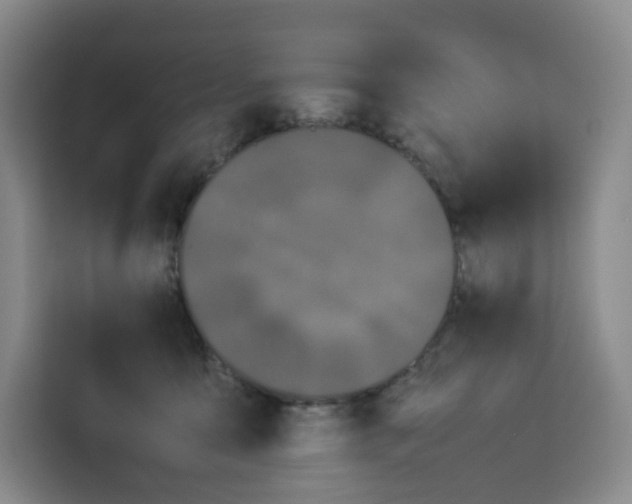 X0000113910419200910221337