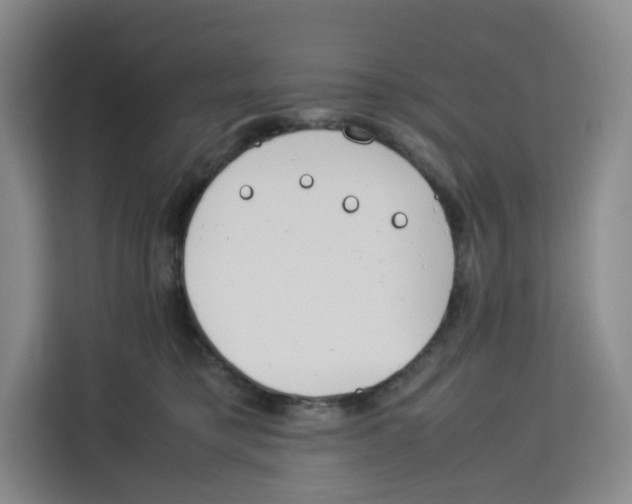 X0000113910421200910221337