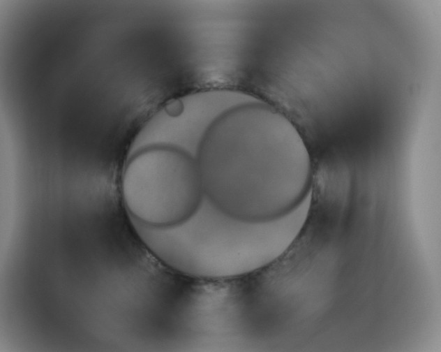 X0000113910423200910221337