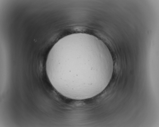 X0000113910424200910221337