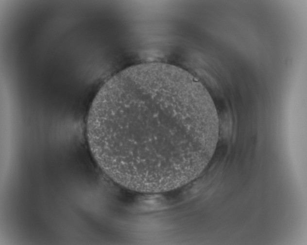 X0000113910427200910221337