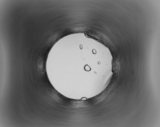 X0000113910428200910221337