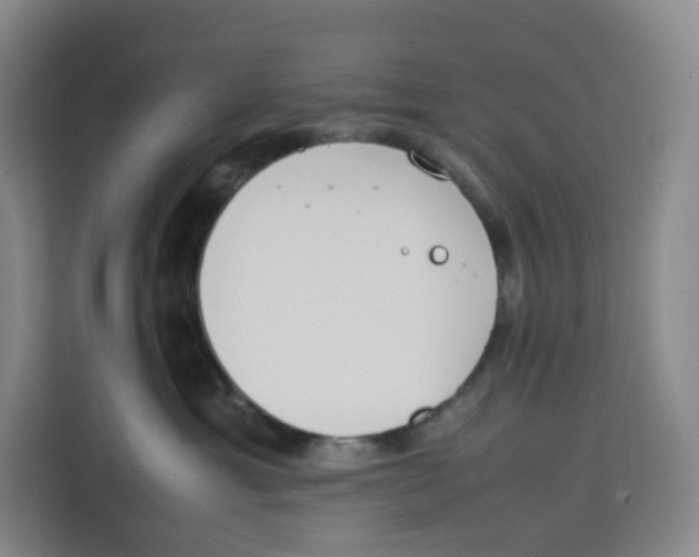 X0000113910429200910221337