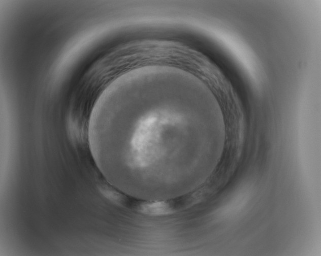 X0000113910431200910221337