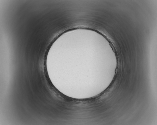 X0000113910434200910221336
