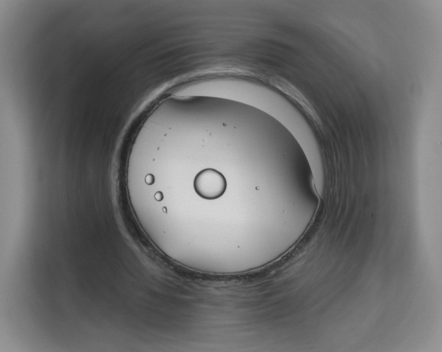 X0000113910436200910221336