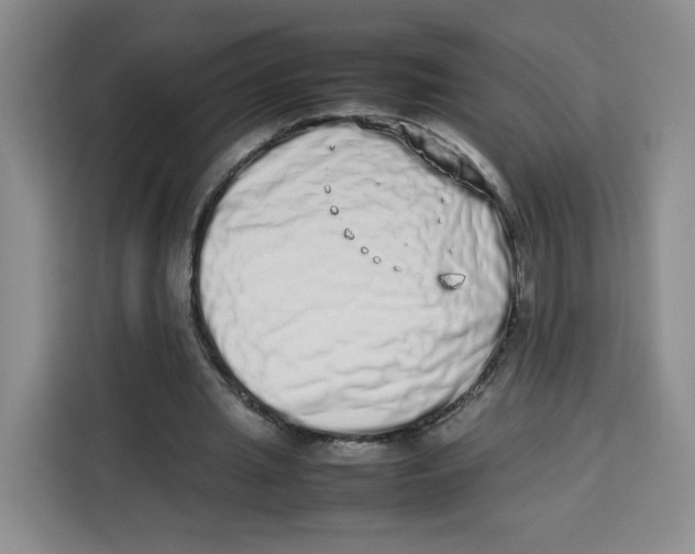 X0000113910437200910221336