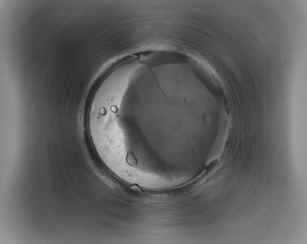 X0000113910438200910221336