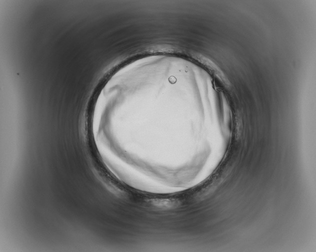 X0000113910439200910221337