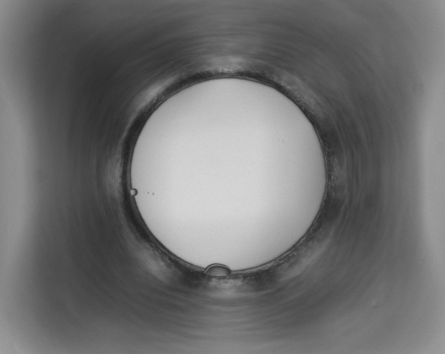 X0000113910440200910221337