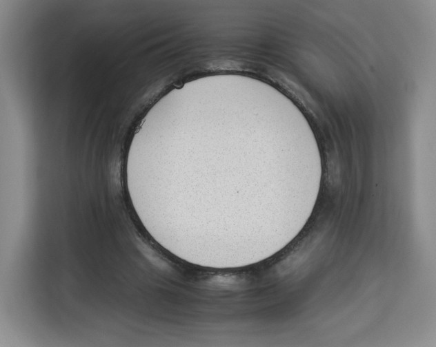 X0000113910441200910221337
