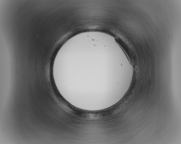 X0000113910442200910221337