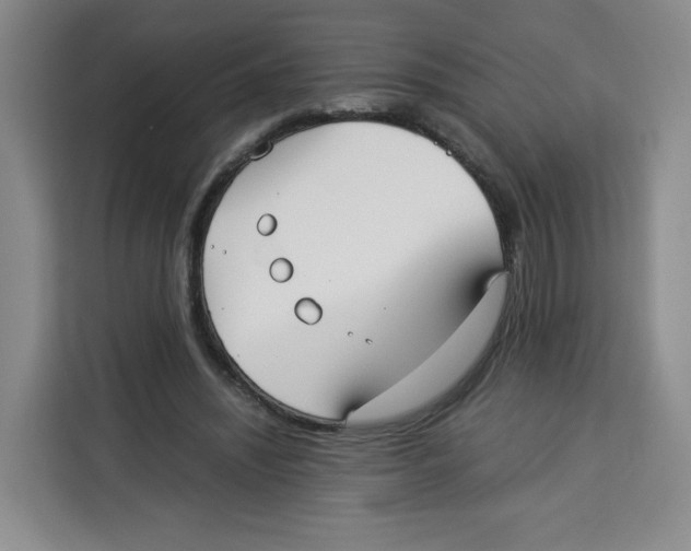 X0000113910444200910221337