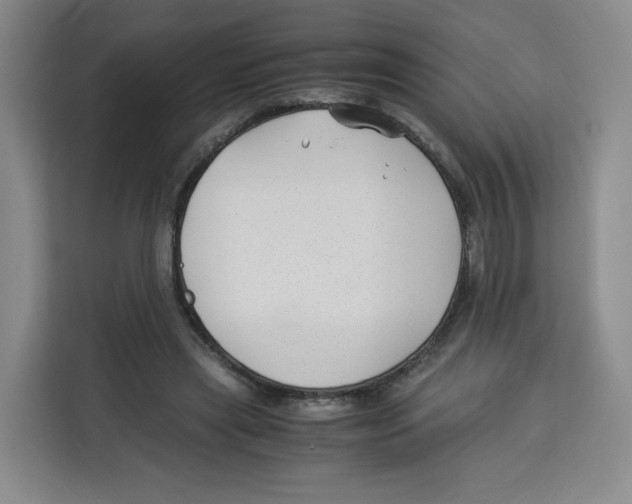 X0000113910445200910221337