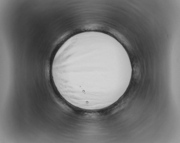 X0000113910446200910221337