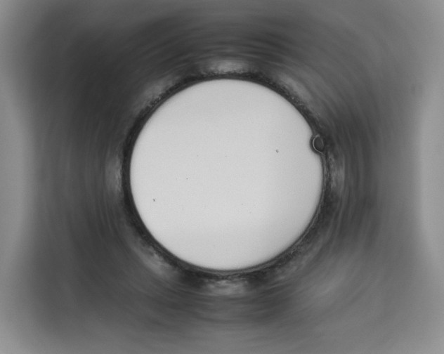 X0000113910447200910221337