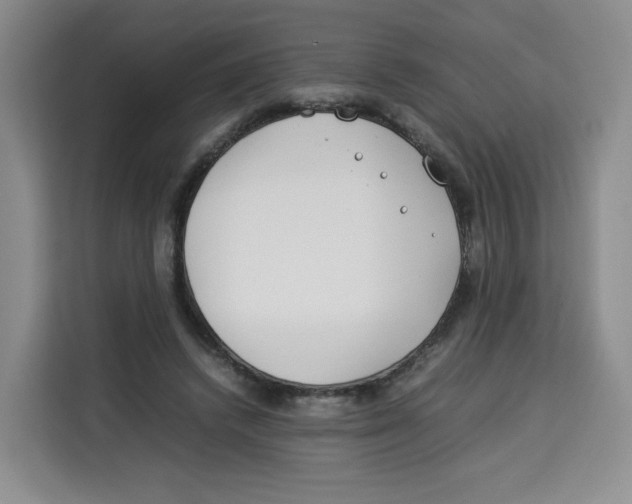 X0000113910448200910221337