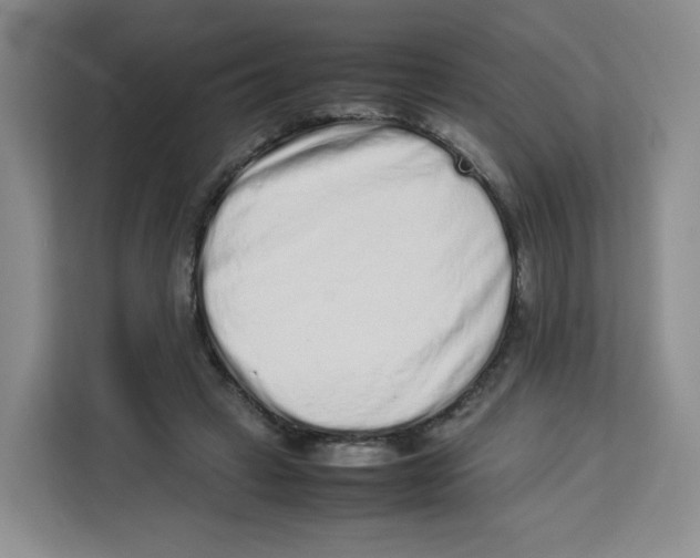 X0000113910449200910221337