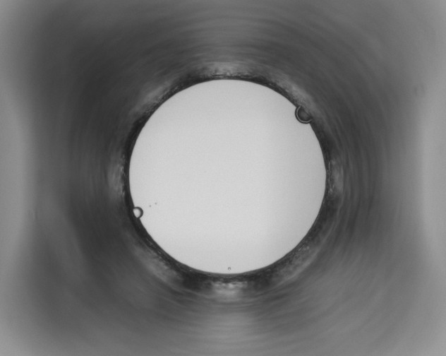 X0000113910450200910221337