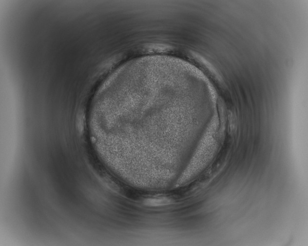 X0000113910451200910221337