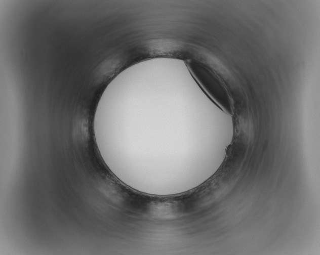 X0000113910452200910221337
