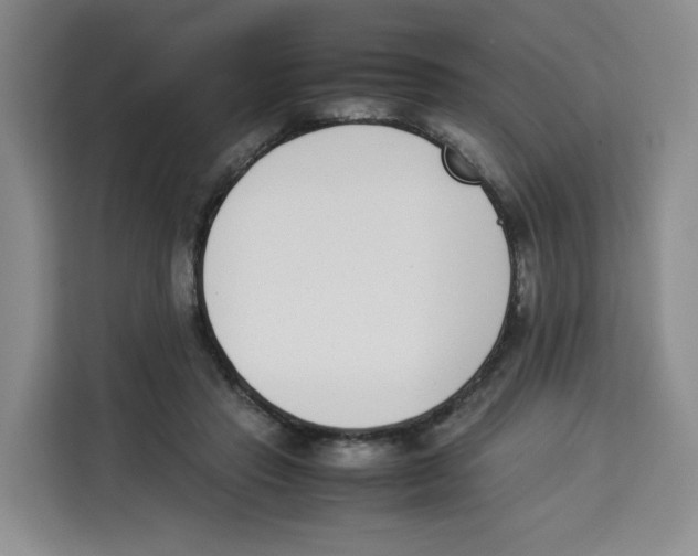 X0000113910453200910221337
