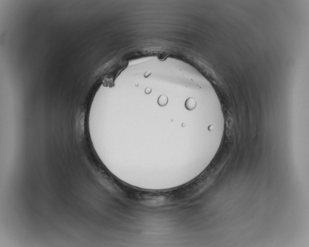 X0000113910454200910221337