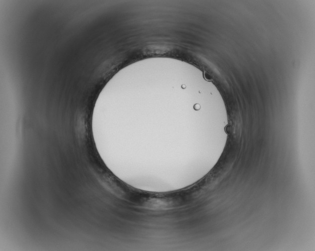 X0000113910455200910221337