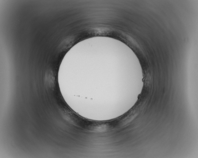 X0000113910456200910221337