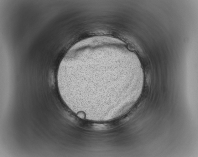 X0000113910457200910221337
