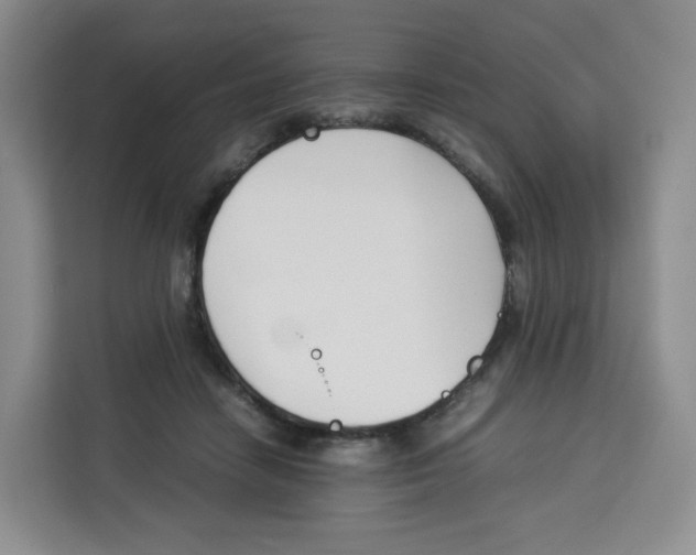 X0000113910458200910221337