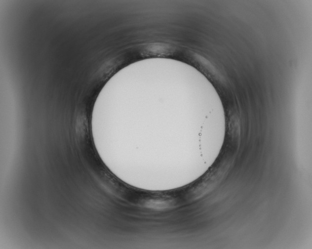 X0000113910459200910221337