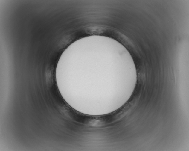 X0000113910460200910221337