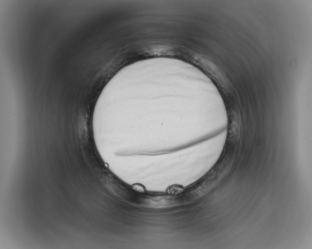 X0000113910461200910221337