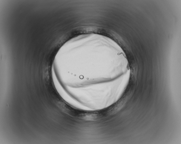 X0000113910462200910221337