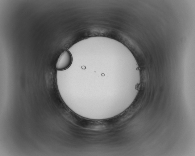 X0000113910463200910221337