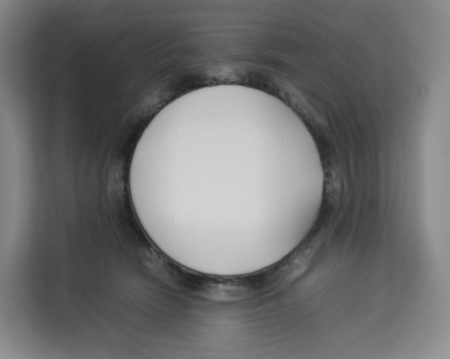 X0000113910466200910221337