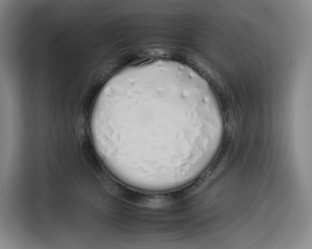 X0000113910467200910221337